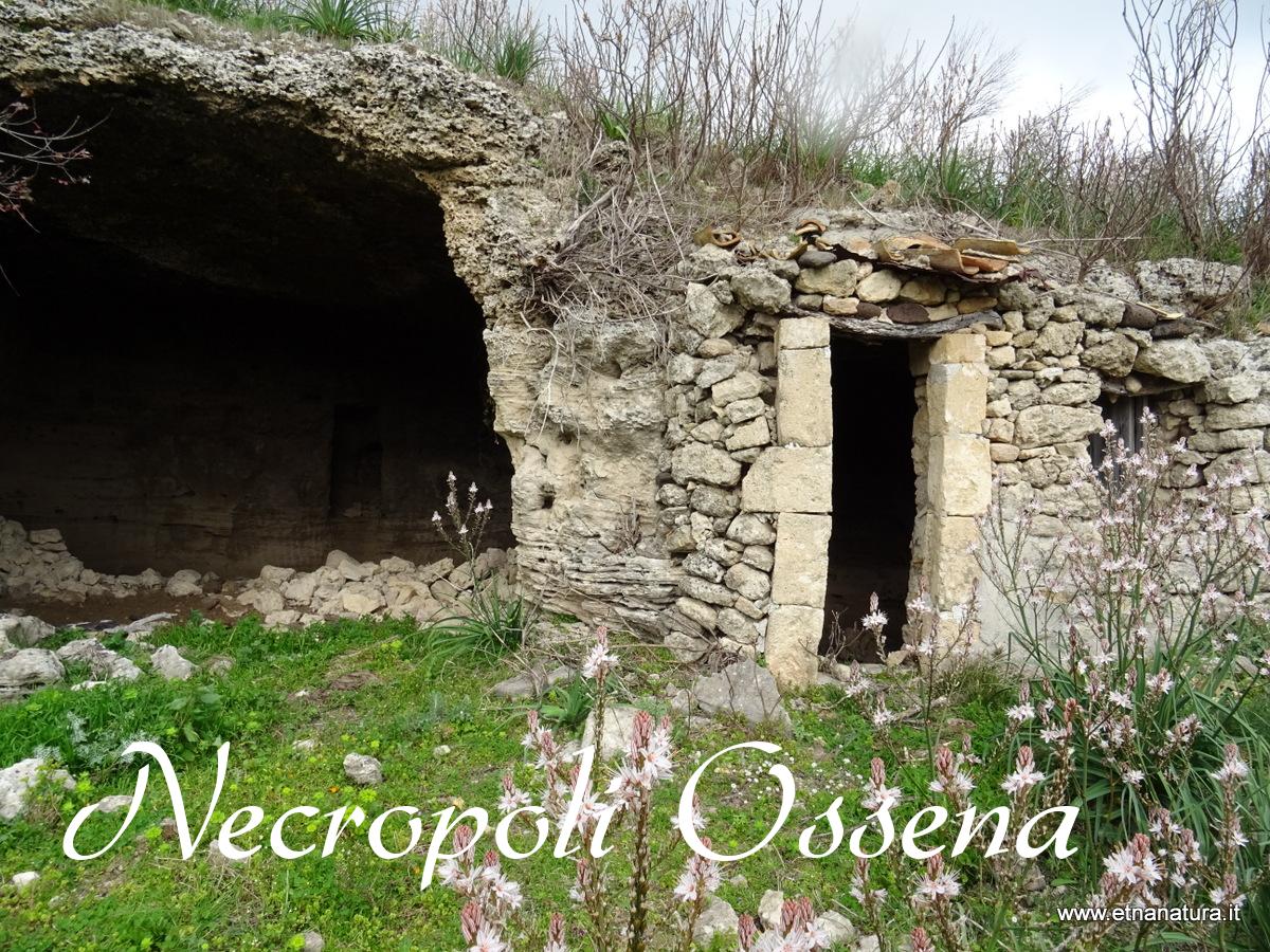 Necropoli Ossena